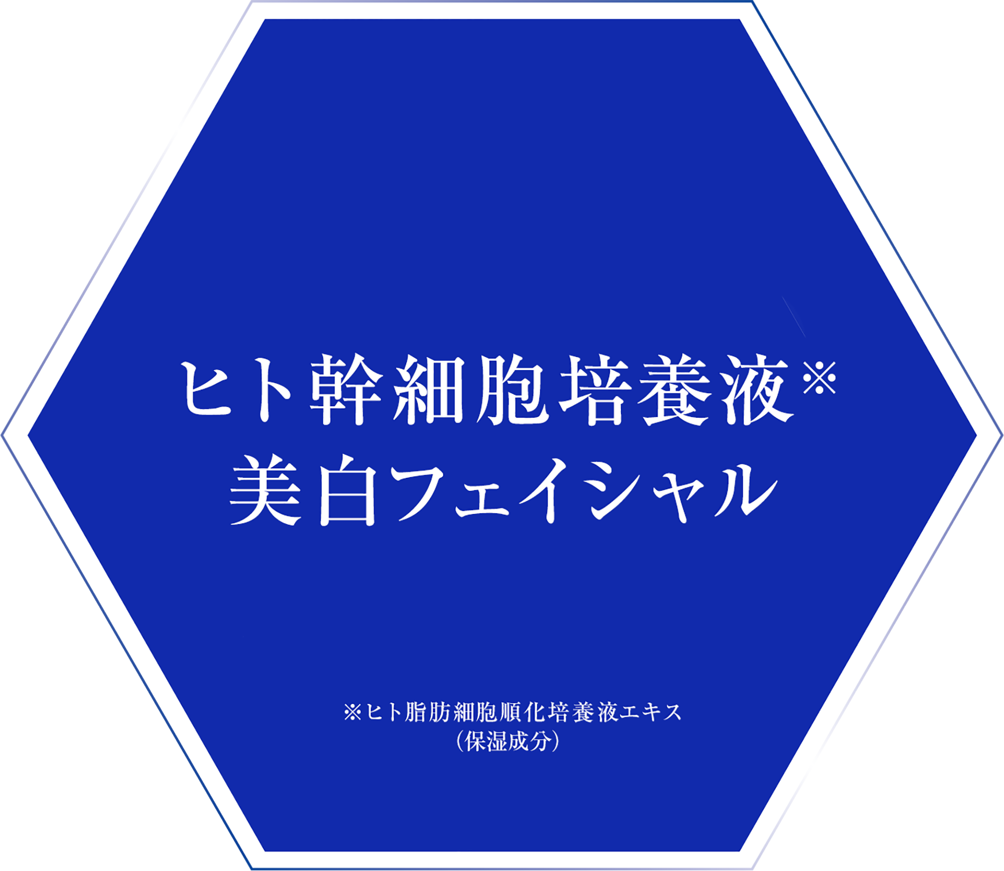 エステ01